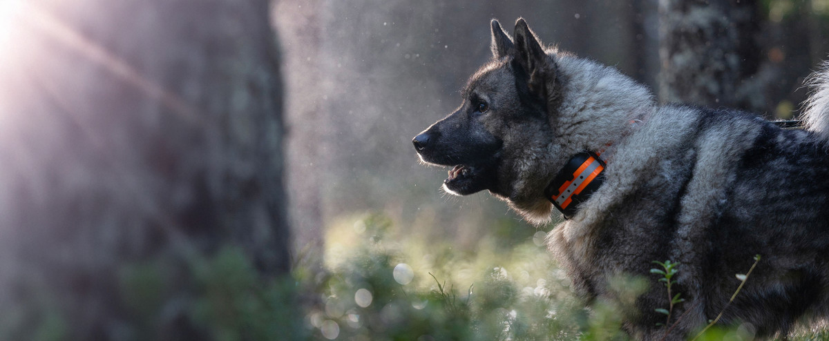 Tracker Artemis